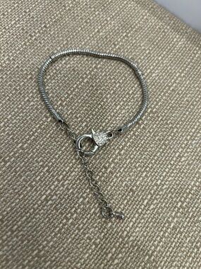 Silver-Tone Snake Chain Bracelet